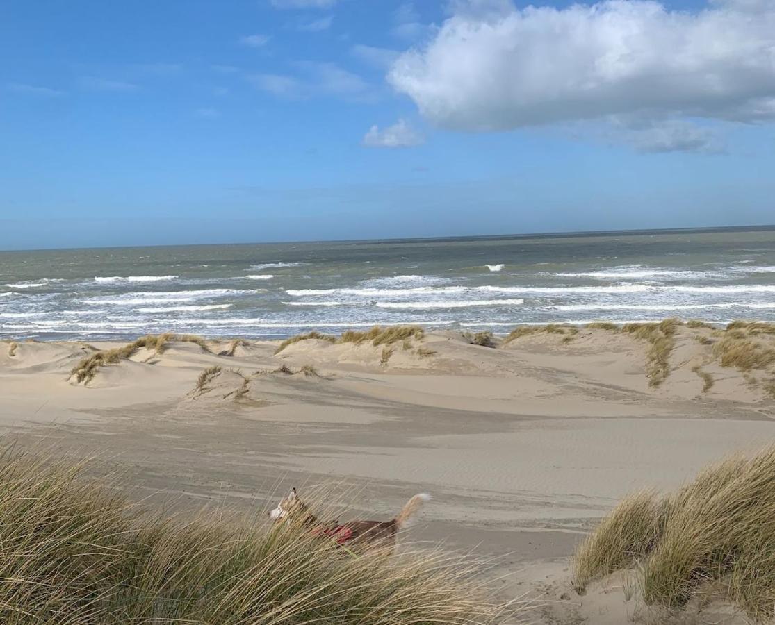Moderne Studio Aan Het Strand In Oostduinkerke-Bad Коксейде Екстериор снимка